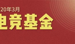 最新动态爆料网站,网站爆料背后的热点事件追踪