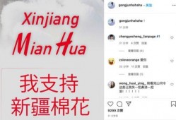新疆伊吾最新爆料信息网,揭秘当地热点事件与民生动态