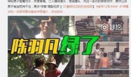 老杨微信爆料视频大全最新,揭秘热点事件背后的真相