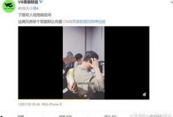 王岳岳最新爆料视频播放,事件真相与幕后黑手浮出水面