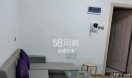 沙井租房爆料事件最新情况,最新进展揭秘，真相大白！
