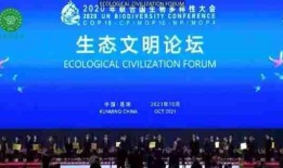 兴安盟爆料最新新闻,揭秘神秘事件背后的真相